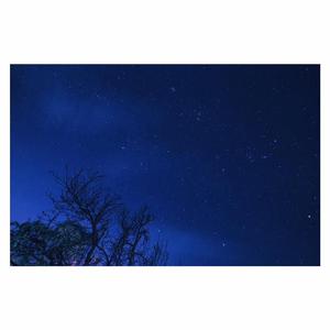 人C交Z〇○Z〇○ⅩⅩ人妖
