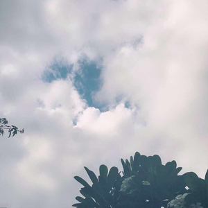 人C交Z〇○Z〇○ⅩⅩ人妖
