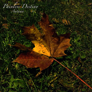 人C交Z〇○Z〇○ⅩⅩ人妖
